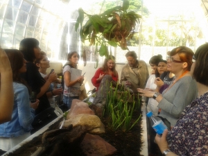 Lee más sobre el artículo TODO UN ÉXITO LA VISITA  AL JARDIN BOTÁNICO