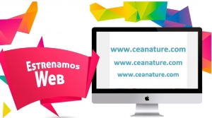 Lee más sobre el artículo Nueva página web